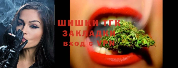 тгк Арсеньев