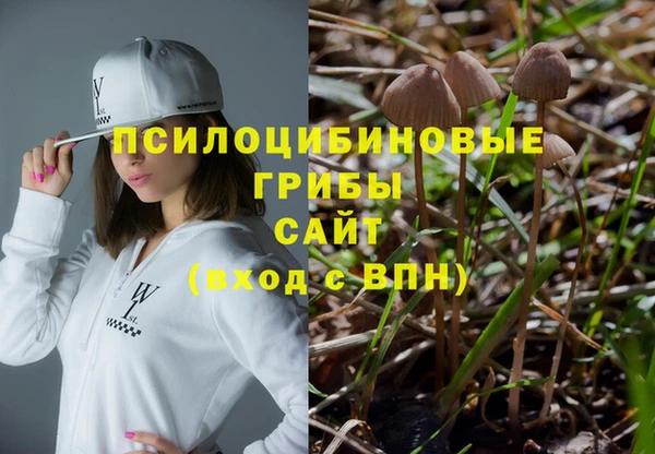 МДПВ Аркадак