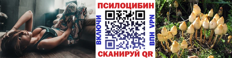 купить   Нурлат  Галлюциногенные грибы Psilocybine cubensis 